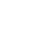 get_sub_field('testo_box_mission');